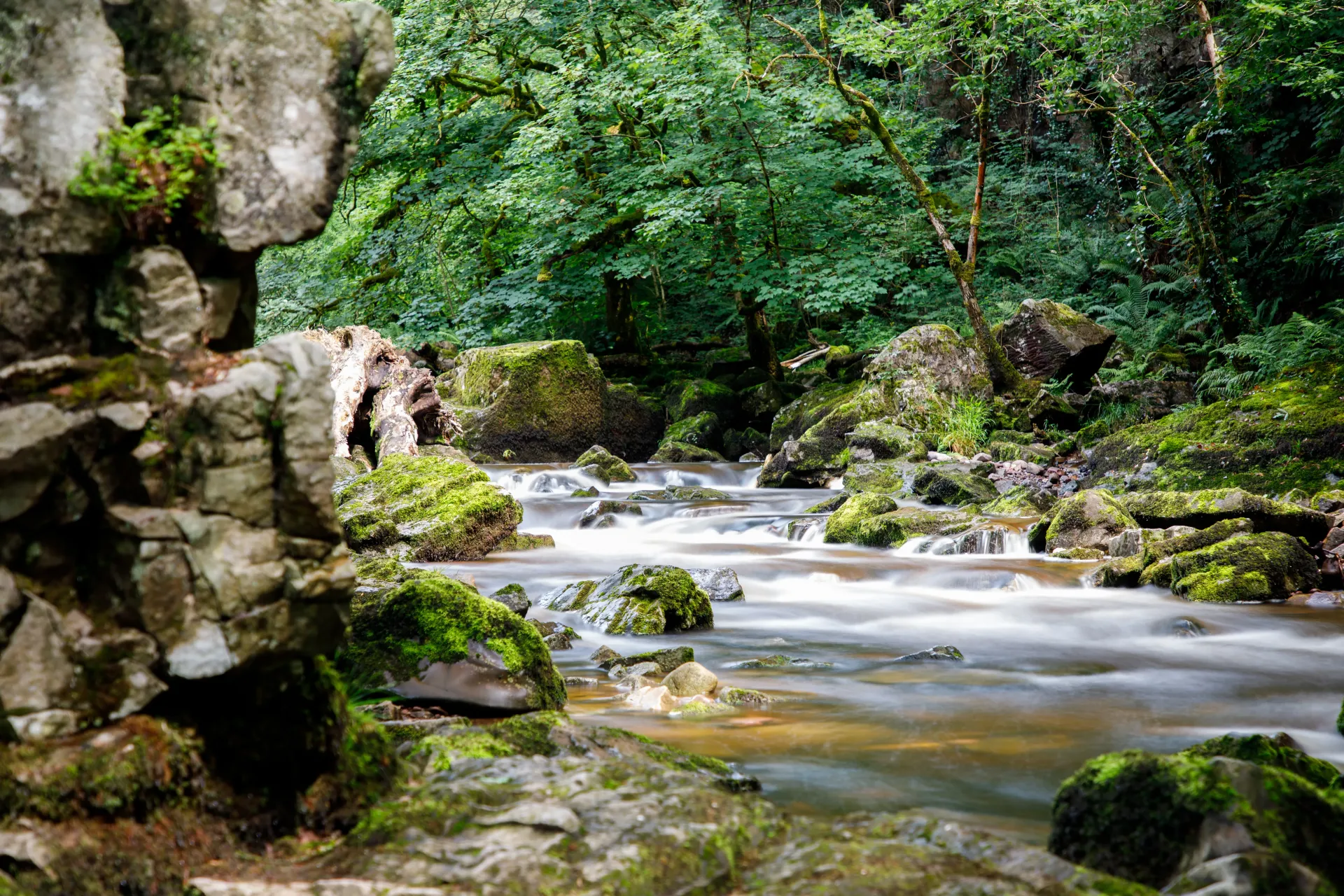 Home Page Background